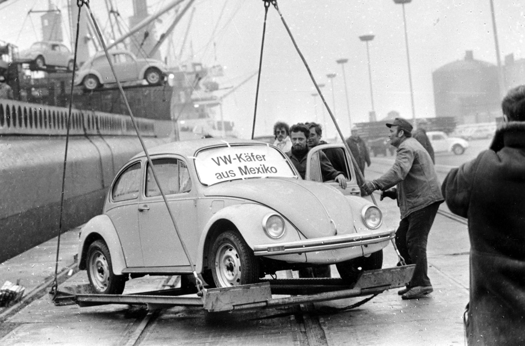 The Last Beetle